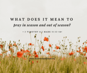 pray-in-season-and-out-of-season